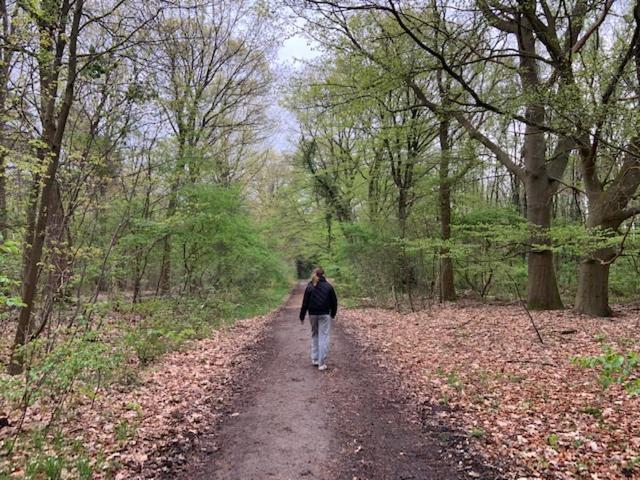 Stacaravan Huren In Het Hart Van Bosrijk Drenthe Op Recreatiepark De Tien Heugten Schoonloo Exterior foto